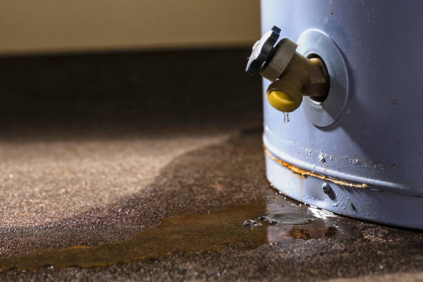  Spring Valley Lake, CA Water damage restoration Pros