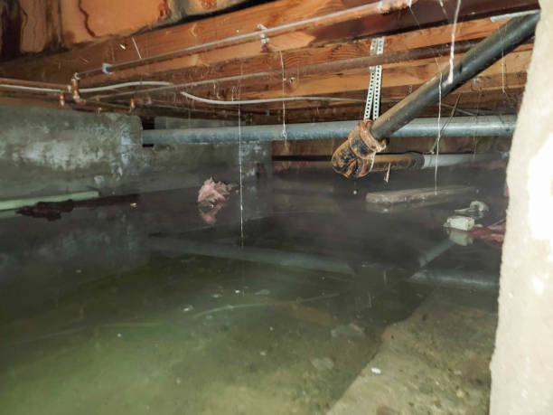 Best Flood restoration services  in Spring Valley Lake, CA