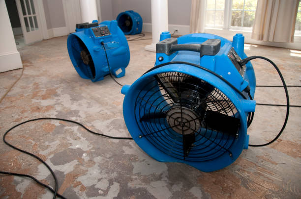 Best Flood damage cleanup  in Spring Valley Lake, CA