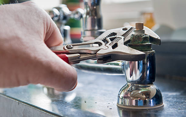 Best Professional water damage repair  in Spring Valley Lake, CA