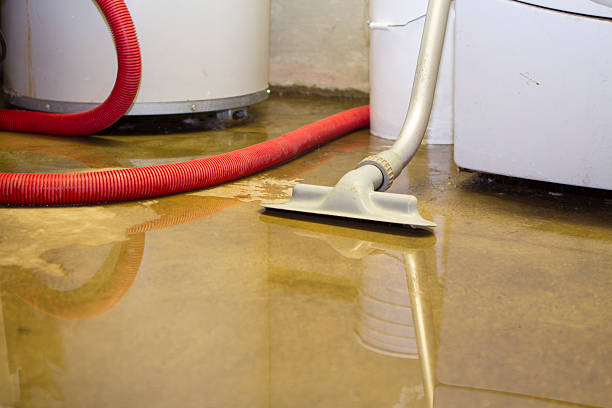 Best Carpet water damage restoration  in Spring Valley Lake, CA