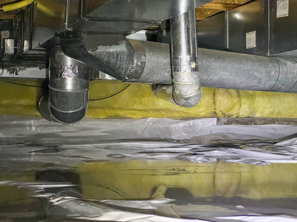 Best Basement water damage restoration  in Spring Valley Lake, CA
