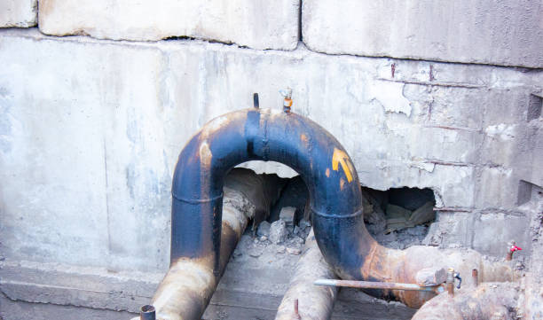 Best Water damage cleanup near me  in Spring Valley Lake, CA